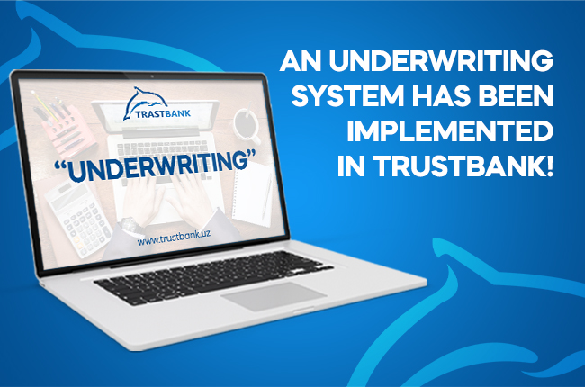 An underwriting system has been implemented in Trustbank